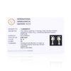 IGI Certified 0.28 Ct Diamond Stud Earrings G-H VS Brilliant Cut Tops