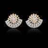 0.81 Ct IGI Certified . Natural Diamond 18KT Gold Stud Earrings gifts for Gift