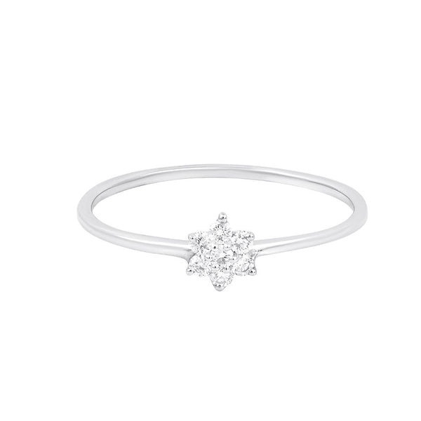Eternal Brilliance Platinum Nakshatra Ring - Image 3 - GEMHUB & CO.
